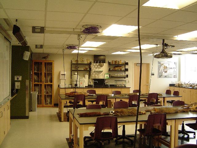 File:Pasteur 225 back front.jpg