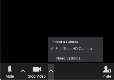 Video settings.png
