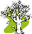 Tree.jpg