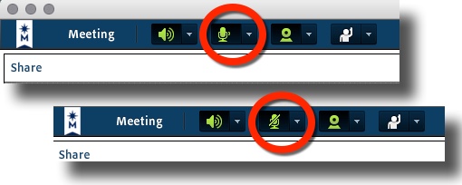 ADOBE CONNECT MUTING.jpg