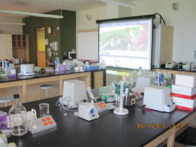 File:SLC 288 back front.jpg