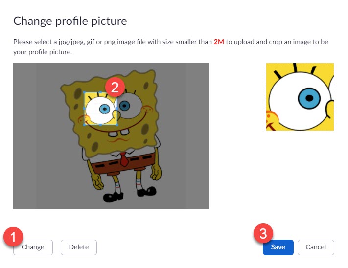File:Zoom profile picture change.jpg
