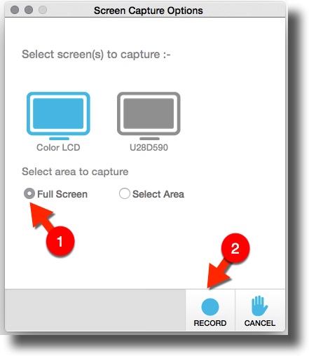 Screen Capture full screen.jpg