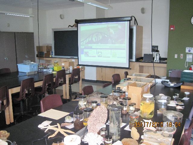 File:SLC 238 back front.jpg