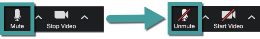 Mute and unmute.jpg
