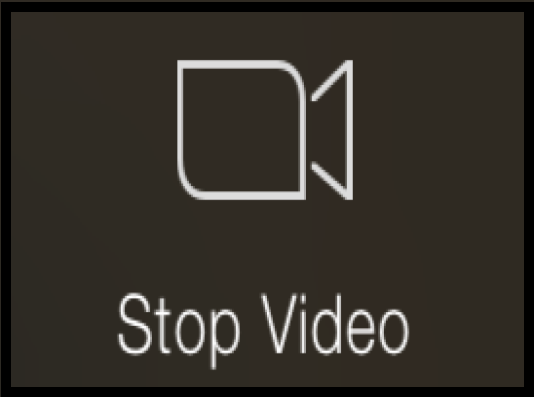 File:StopVideo a.png