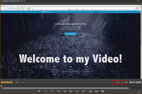 Premiere Playback Quality.png