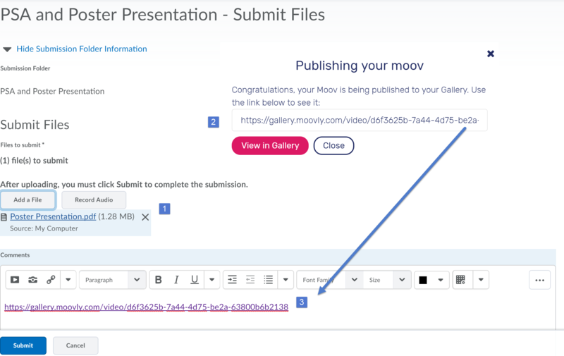 Moovly URL to Assignments.png