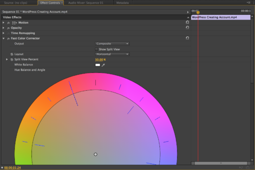Premiere Effect Controls Tab.png