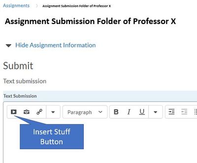 Assignments Inser Stuff Button.JPG